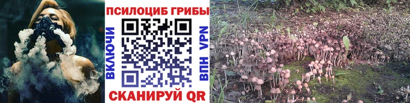 Псилоцибиновые грибы MAGIC MUSHROOMS  Козельск 